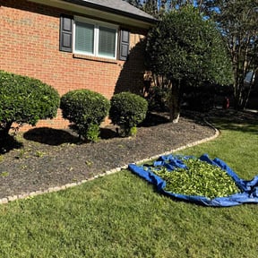 Bush Trimming by Flowers Landscaping reviewed on August 21, 2025