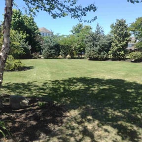 yard service by Lawn Maids reviewed on November 21, 2025