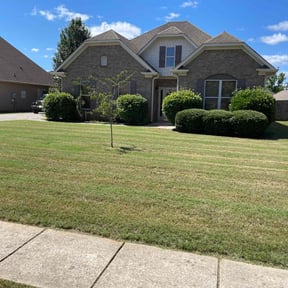 turf care by Countryside lawn and garden reviewed on April 12, 2025
