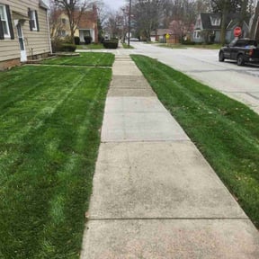 landscaping services by Carlos Tapia reviewed on August 18, 2025