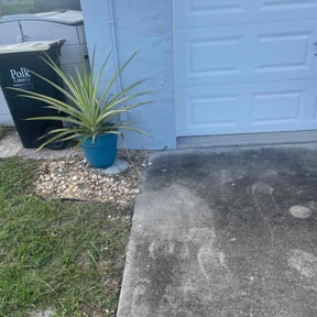 Flower Bed Weeding by Robert Rizzo reviewed on November 9, 2025