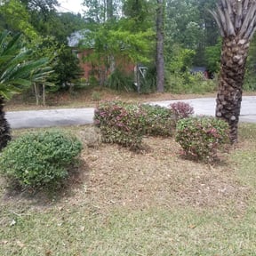 Bush Trimming by Otherside Property Maintenance reviewed on August 21, 2025