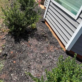 Flower Bed Weeding by Patrick&#039;s landscaping reviewed on October 23, 2025