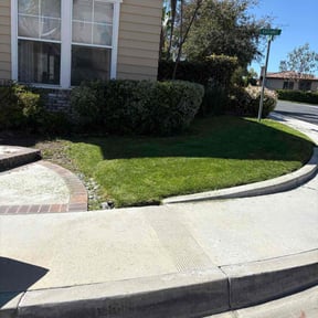 gardening service by Cherry Bomb Lawn Care reviewed on August 16, 2025