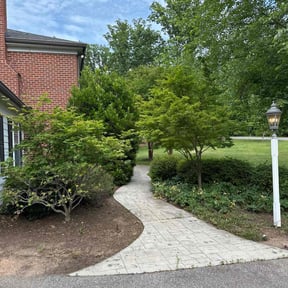 Leaf Removal by Big Bee's lawns reviewed on September 20, 2025