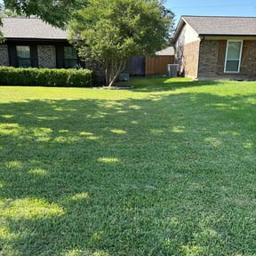 yard service by My 5boys lawn care reviewed on August 18, 2025