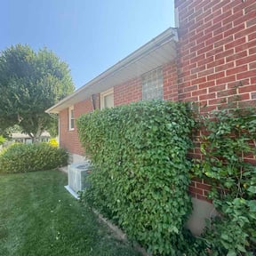 Bush Trimming by Casper lawncare reviewed on July 7, 2026