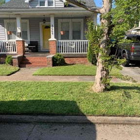 yard care by Mow Goatz Lawn Service  reviewed on August 18, 2025