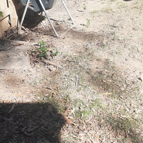 Leaf Removal by Candanoza Lawn Service reviewed on April 24, 2025