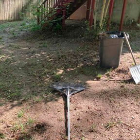 Leaf Removal by Clean cut short yards diaz reviewed on May 1, 2026