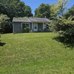 Bush Trimming by Dee Tree/Lawn Service reviewed on May 7, 2025