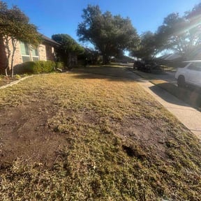 Leaf Removal by Winters mowing and more reviewed on October 10, 2026