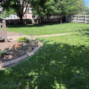 grass cutting by T&#039;s lawn care reviewed on August 20, 2025