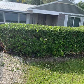 Bush Trimming by Amile Above Landscaping reviewed on August 18, 2025