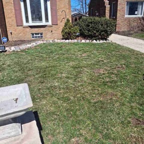 Leaf Removal by Bryant's Lawn service reviewed on July 20, 2026