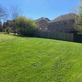 yard service by Shokdaworld Lawncare  reviewed on December 11, 2025