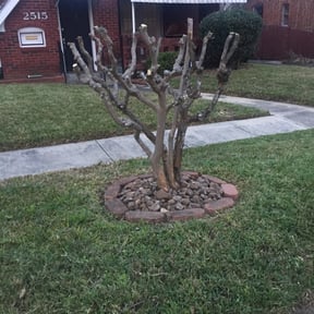 Flower Bed Weeding by Impactt Landscaping, LLC reviewed on August 15, 2025