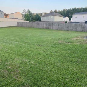 residential landscaping by Cloverleaf Lawncare reviewed on August 16, 2025
