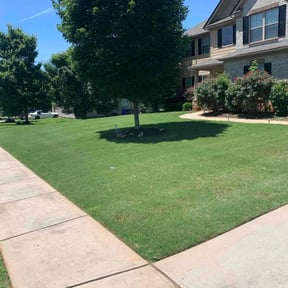 lawn maintenance by T & S Lawn Care Services reviewed on August 20, 2025