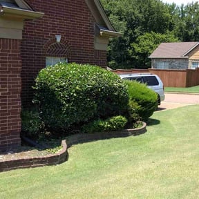 Bush Trimming by DeBerry Landscape LLC reviewed on August 17, 2025