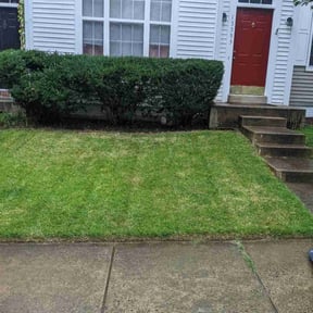 Bush Trimming by R & A landscaping reviewed on August 17, 2025