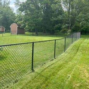 yard maintenance by T & S Lawn Care Services reviewed on August 19, 2025