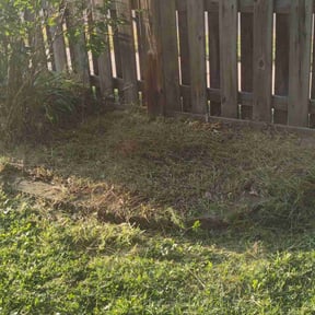 Flower Bed Weeding by KLEAN TOUCH reviewed on May 22, 2023