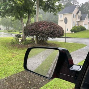 Bush Trimming by 5280 Lawn Care reviewed on August 18, 2025