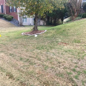 Leaf Removal by W. D. Giampa Lawn &amp; Landscapes, INC. reviewed on April 28, 2024