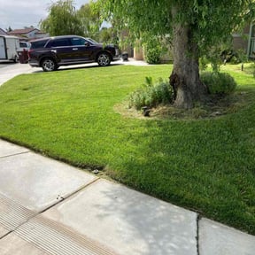landscaping by Fierro's Landscaping maintenance and development reviewed on August 16, 2025