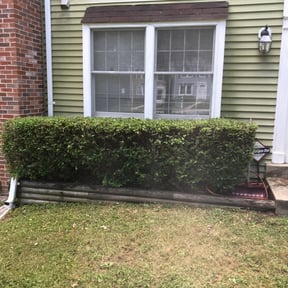 Bush Trimming by Luna's Landscaping reviewed on August 20, 2025