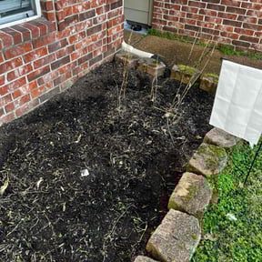 Flower Bed Weeding by Robert and sons' lawn service reviewed on January 22, 2026