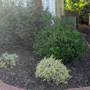 Flower Bed Weeding by Williams Lawn Service reviewed on March 28, 2024