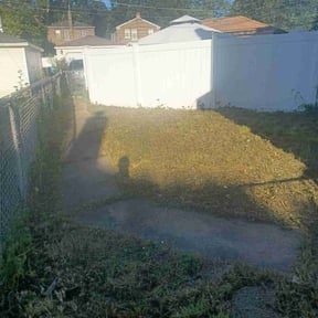 Leaf Removal by Aces reviewed on September 18, 2025