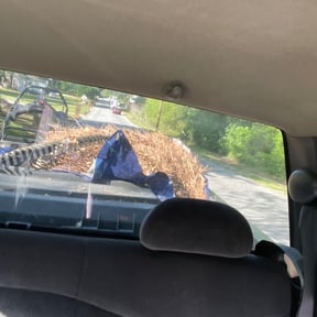 Leaf Removal by Brandonsanders reviewed on September 19, 2025