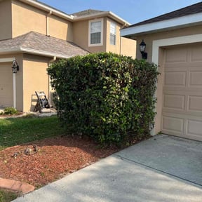 Bush Trimming by Lybrand's Lawn Maintenance reviewed on August 15, 2025