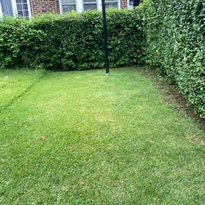 lawn care by BJ Mowing LLC reviewed on April 6, 2024