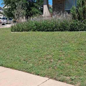 Flower Bed Weeding by Hanna Turf reviewed on May 2, 2026