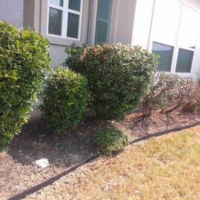 Flower Bed Weeding by Victoria Landscaping, LLc reviewed on October 19, 2025