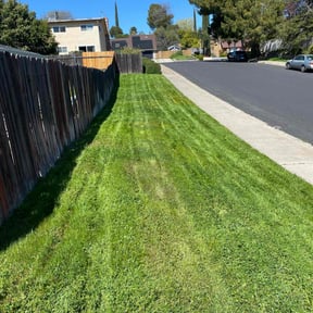 lawn care services by Nates Lawn Service reviewed on May 11, 2024