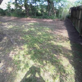 Leaf Removal by Lawn Care reviewed on September 8, 2025