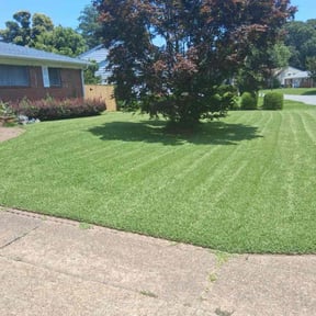 lawn care services by José Luis Tellez reviewed on August 19, 2025