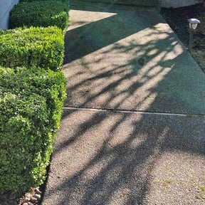 Leaf Removal by FRANKLINLUX REFINE reviewed on March 29, 2026
