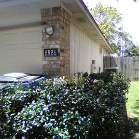 Bush Trimming by Sons Superior LLC reviewed on February 12, 2026