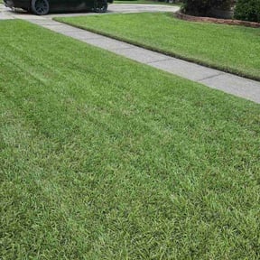 gardening service by Geaux Superior Landscaping reviewed on August 15, 2025