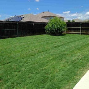 yard maintenance by Lindsay’s lawncare reviewed on August 16, 2025