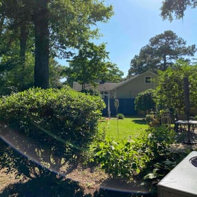 Bush Trimming by The Branch Gardens and Lawncare Co. reviewed on August 19, 2025