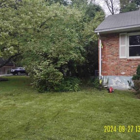 Bush Trimming by Jay Bradley reviewed on October 6, 2023