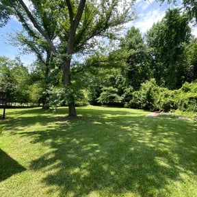 yard work by Christopher Clark reviewed on December 30, 2025