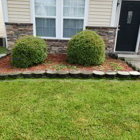Bush Trimming by Brett's lawn service reviewed on August 19, 2025